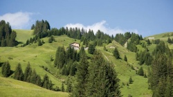 Wandelvakantie in de bergen in Damls (Vorarlberg) o.l.v. Frans van ZA 08/08 tot ZA 15/08/2020
